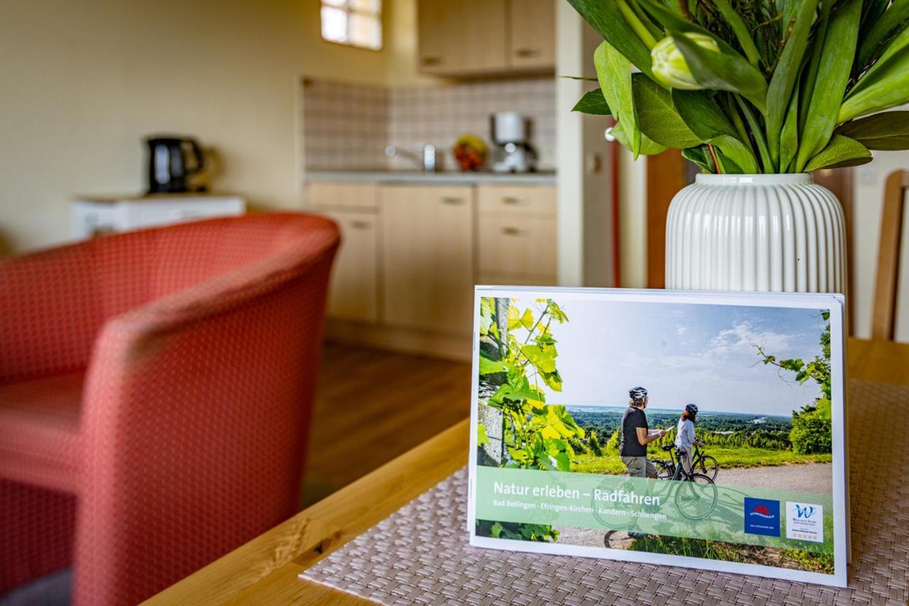 Gaestehaus Hoeferlin บัดเบลลิงเงน ภายนอก รูปภาพ