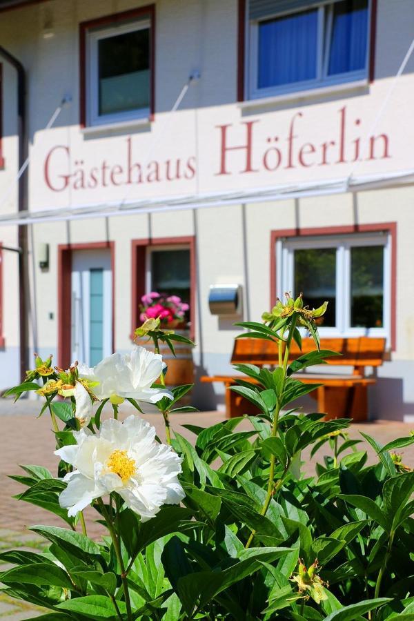 Gaestehaus Hoeferlin บัดเบลลิงเงน ภายนอก รูปภาพ